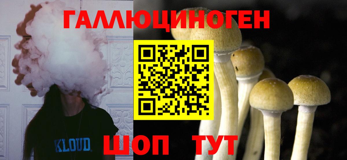 купить наркотик  Вход с VPN  Псилоцибиновые грибы MAGIC MUSHROOMS  Донской  Псилоцибиновые грибы ЛСД 